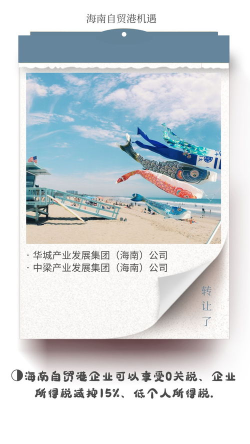 海南自貿港文旅集團與德國企業對比 稅收優勢凸顯，文化藝術交流新機遇